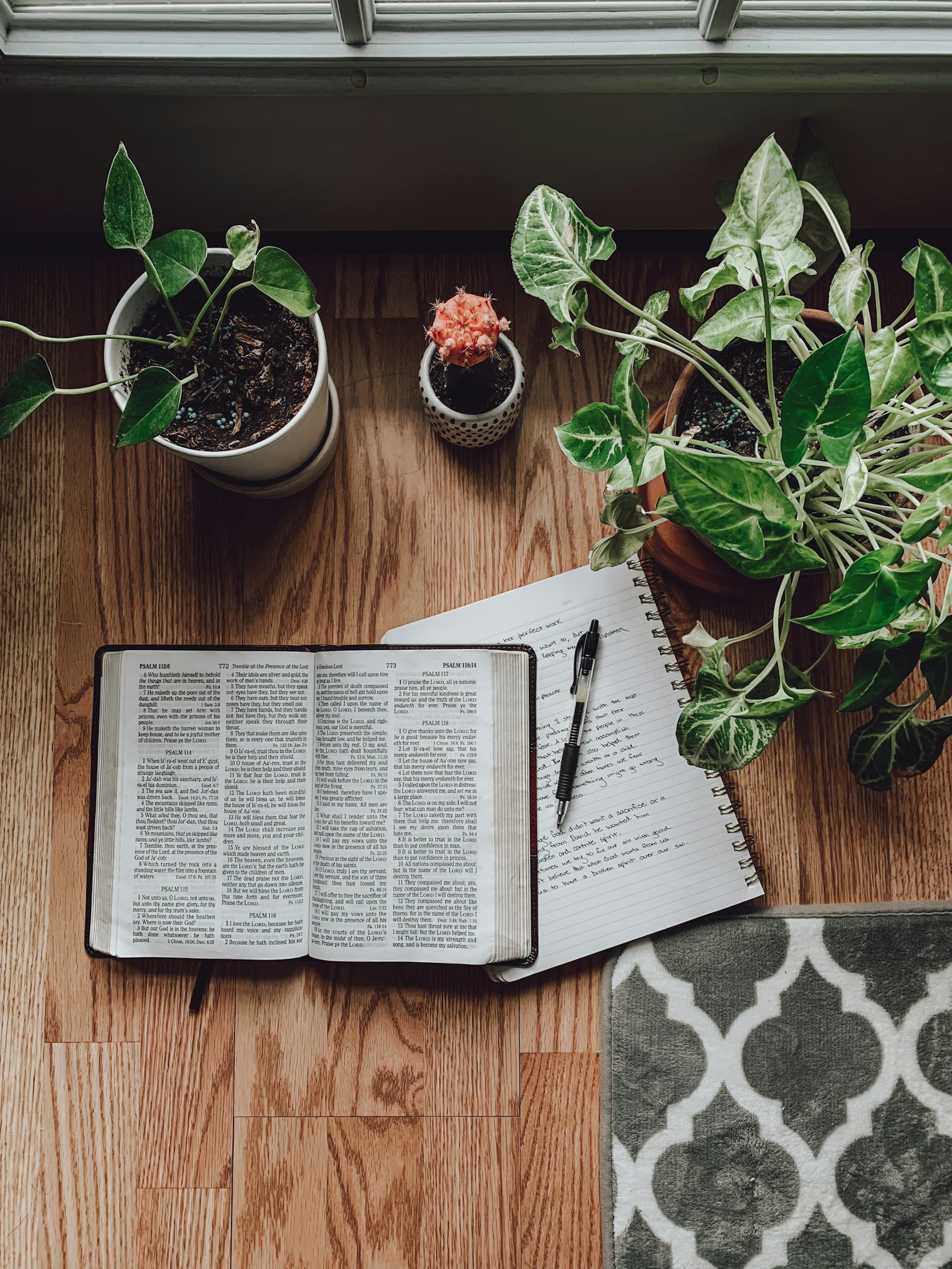 A Guide to Choosing the Right Bible Tabs for Your Bible
