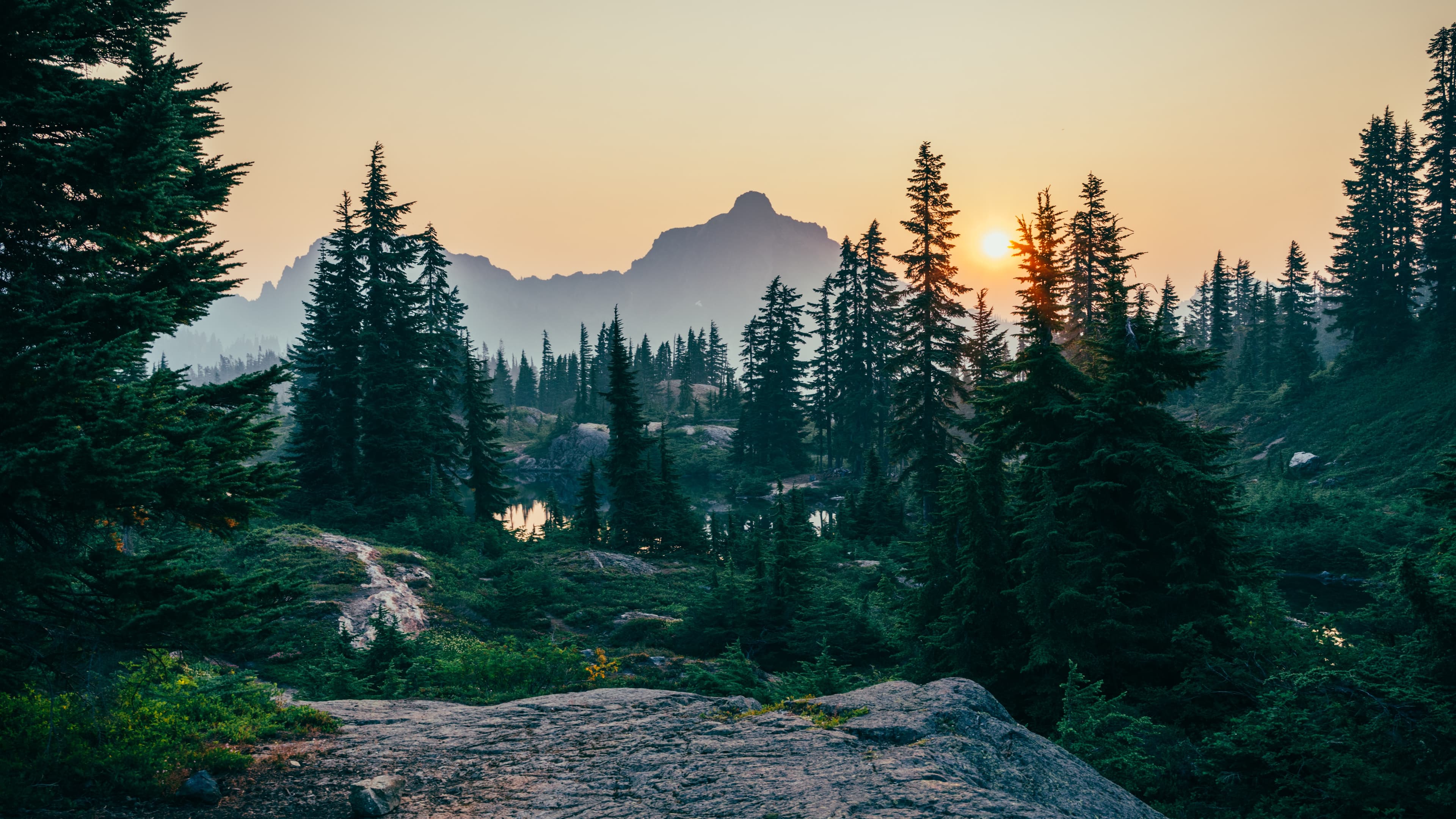 Finding Peace in Uncertain Times: Trusting God's Plan