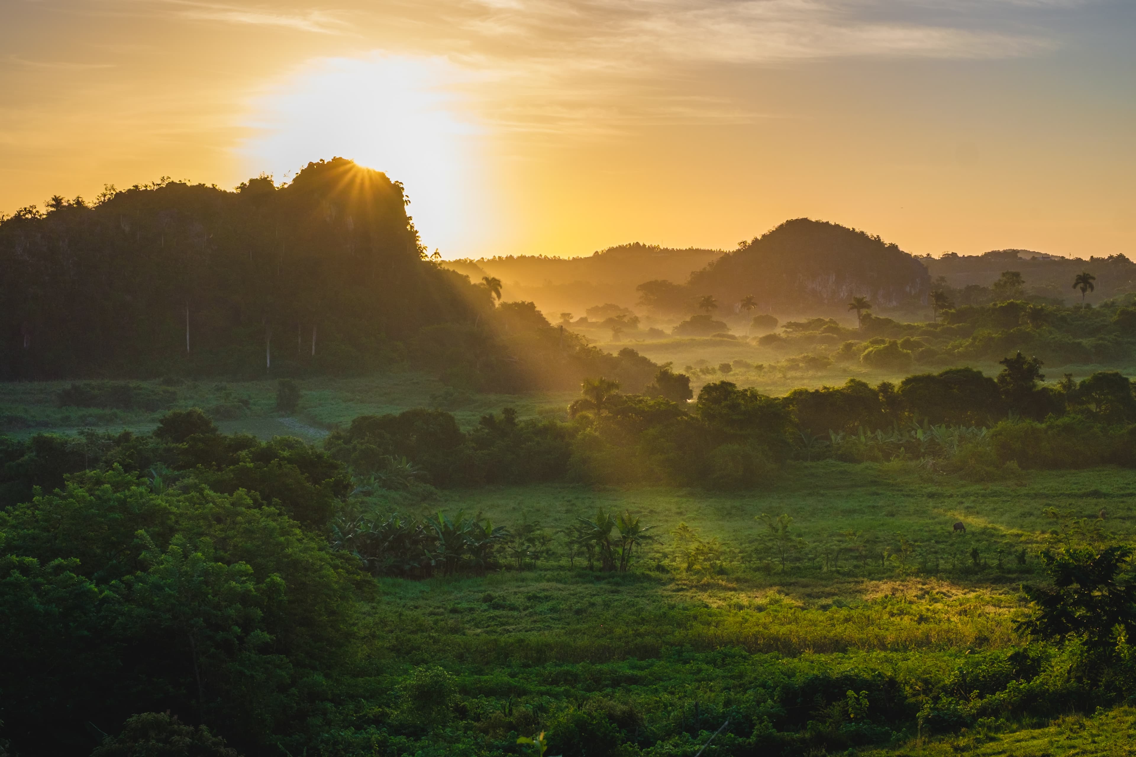 Grace and Forgiveness: Understanding God's Unconditional Love