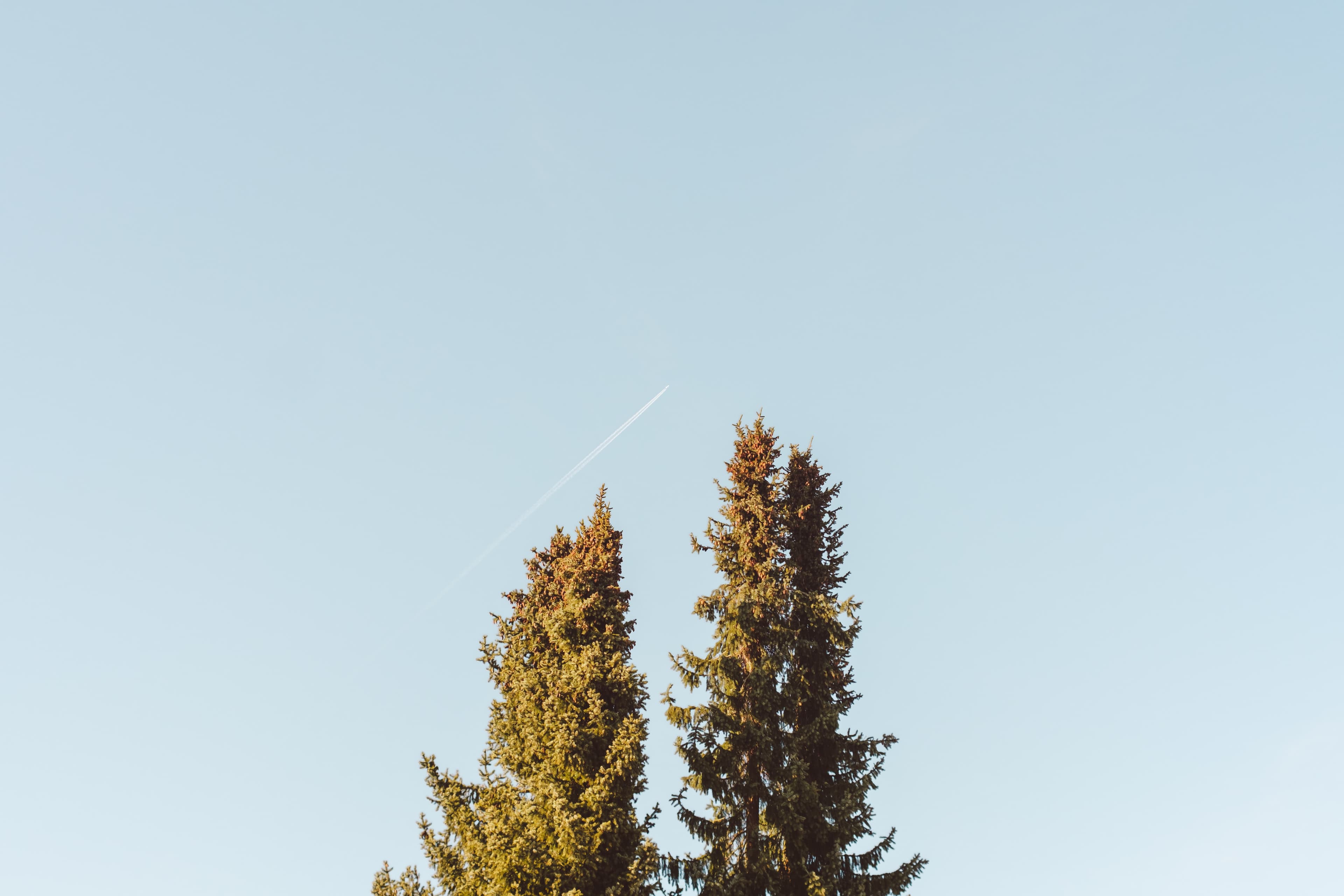 The Gift of Grace: How God's Unmerited Favor Changes Everything
